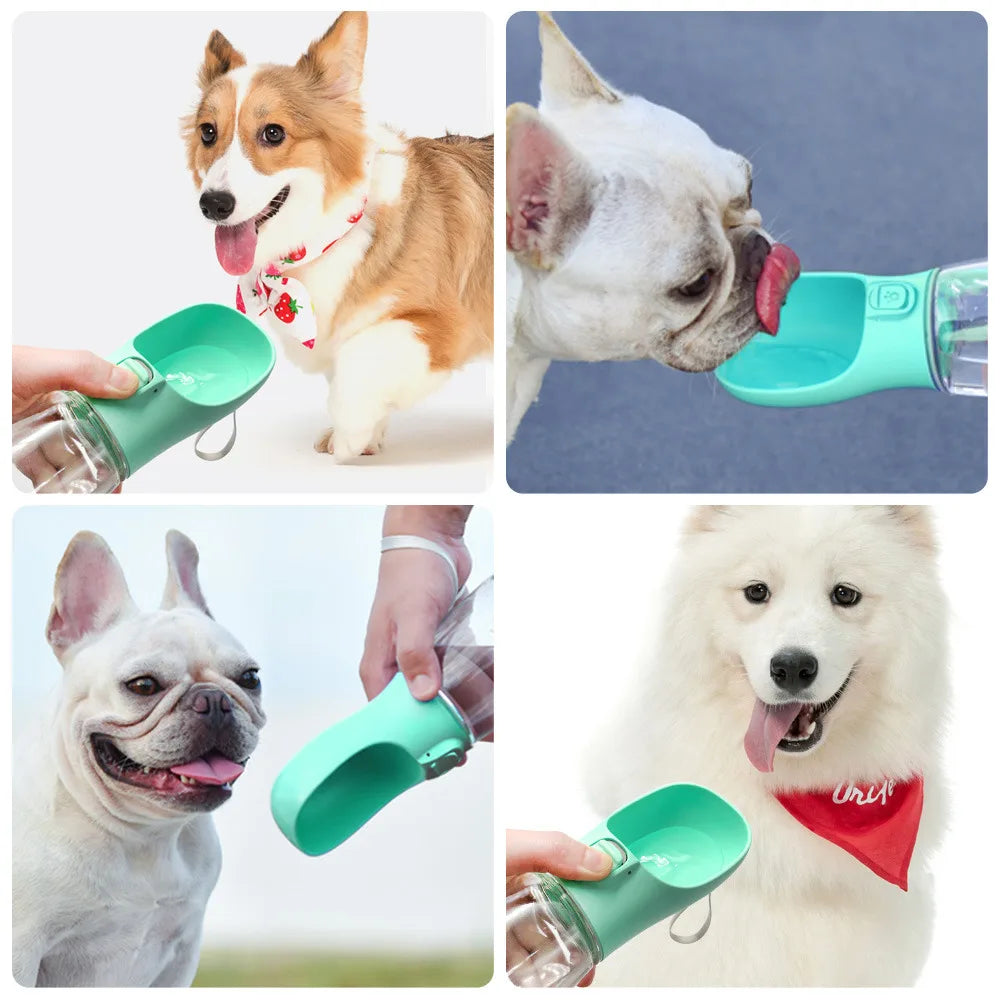 Portable Dog Water Bottle & Feeder – Outdoor Travel Drinking Container - Premium pet supplies from Lizard Vigilante - Just $19.88! Shop now at Lizard Vigilante