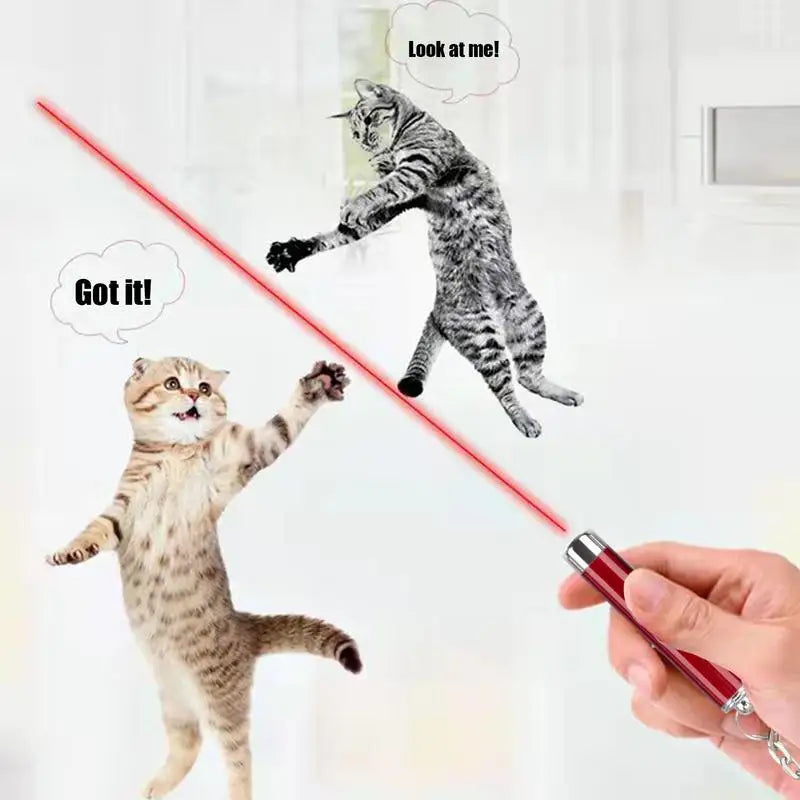 Ultimate Cat Laser Pointer Toy – Interactive Laser Teaser for Cats, Portable Pet Exercise and Enrichment Tool for Indoor Play - Premium  from Lizard Vigilante - Just $12.88! Shop now at Lizard Vigilante