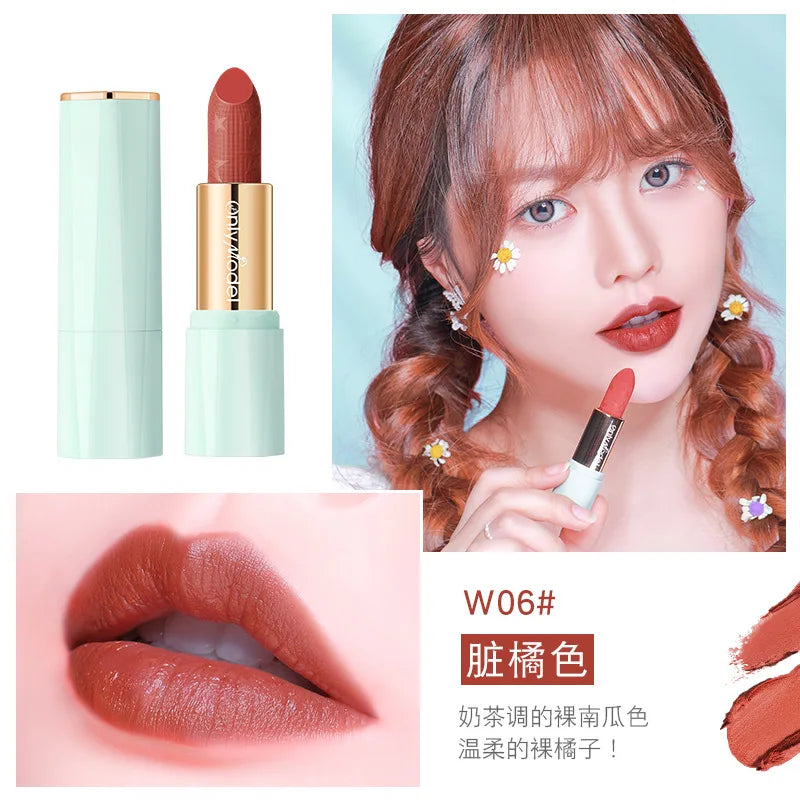 Orange Lipstick Waterproof Long Lasting Matte Lipsticks Resistant Lip Stick Velvet Lip Tint Women Cosmetic Sexy Lip Glaze Makeup