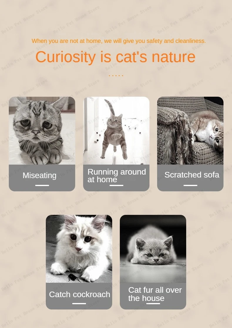 Cathedral of Chaos — Multi-Level Iron Fortress Cat Villa for Feral Royalty & Streetwise Legends