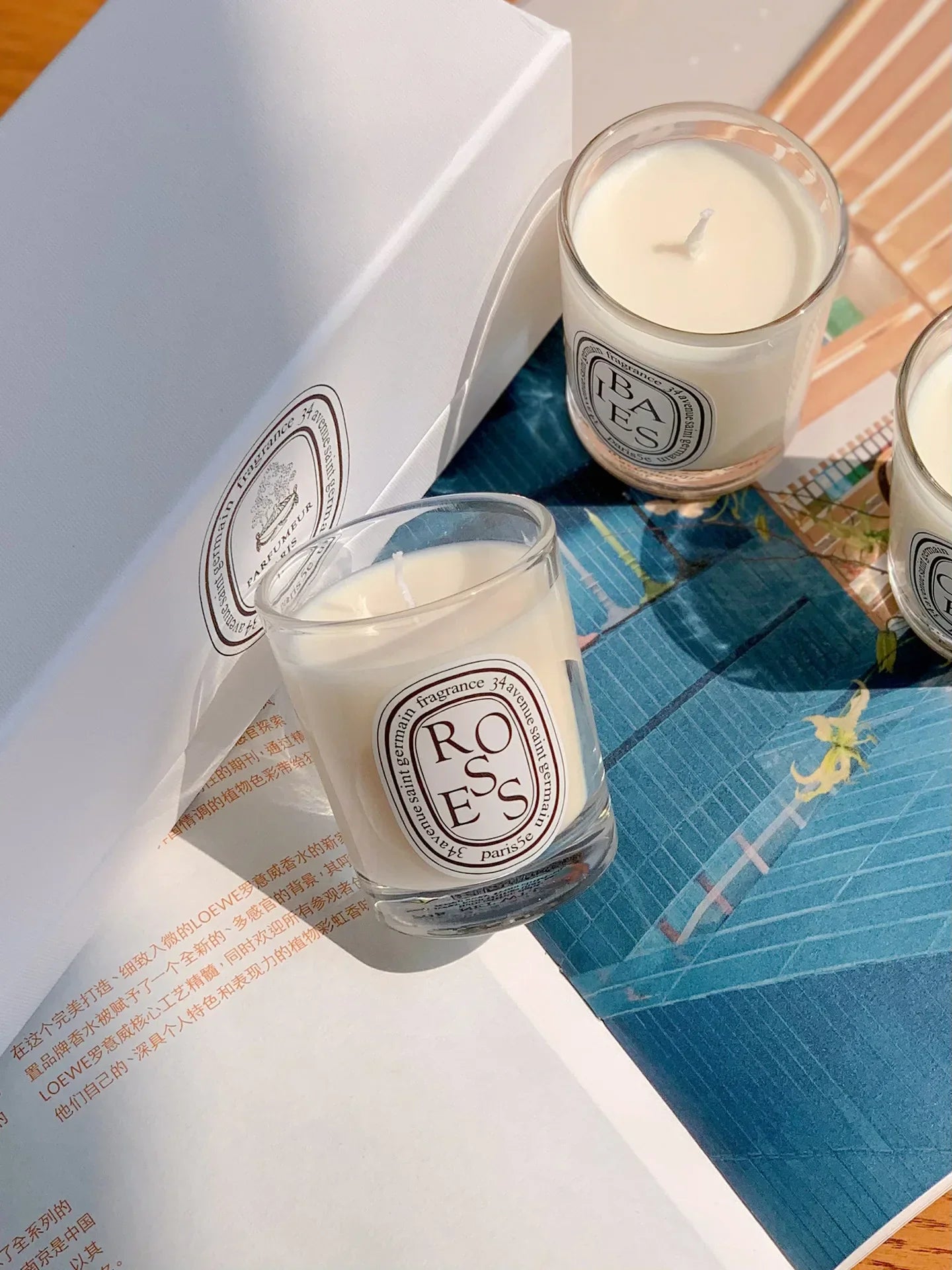 Aromatherapy Candle Natural Plant Scented Candles French Fragrance Fresh And Elegant Lasting Air Companion Aroma Gift