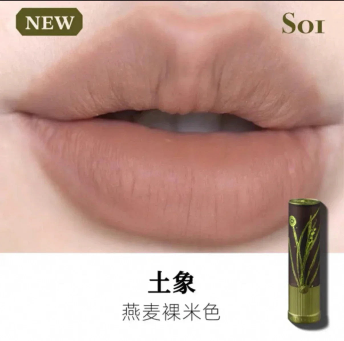 Girlcult Herbal Compendium Lipstick Matte Velvet Lip Clay Green Shimmer Lipgloss Moisturizing Longlasting Nostickup