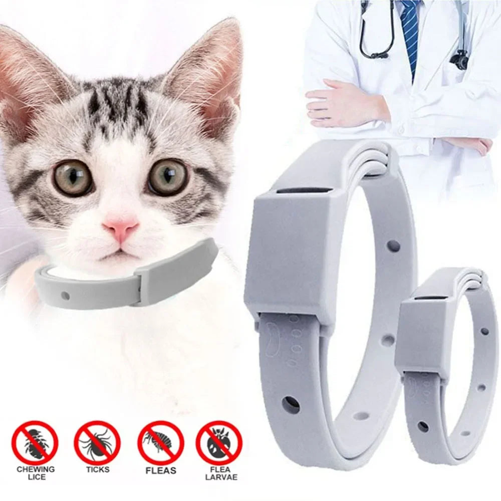 Anti-Flea Antiparasitic Tick Collar For Cat Small Dog 8Month Protection Adjustable Puppy Kitten Collar Breakaway Pet Accessories - Premium flea collar from Lizard Vigilante - Just $14.99! Shop now at Lizard Vigilante