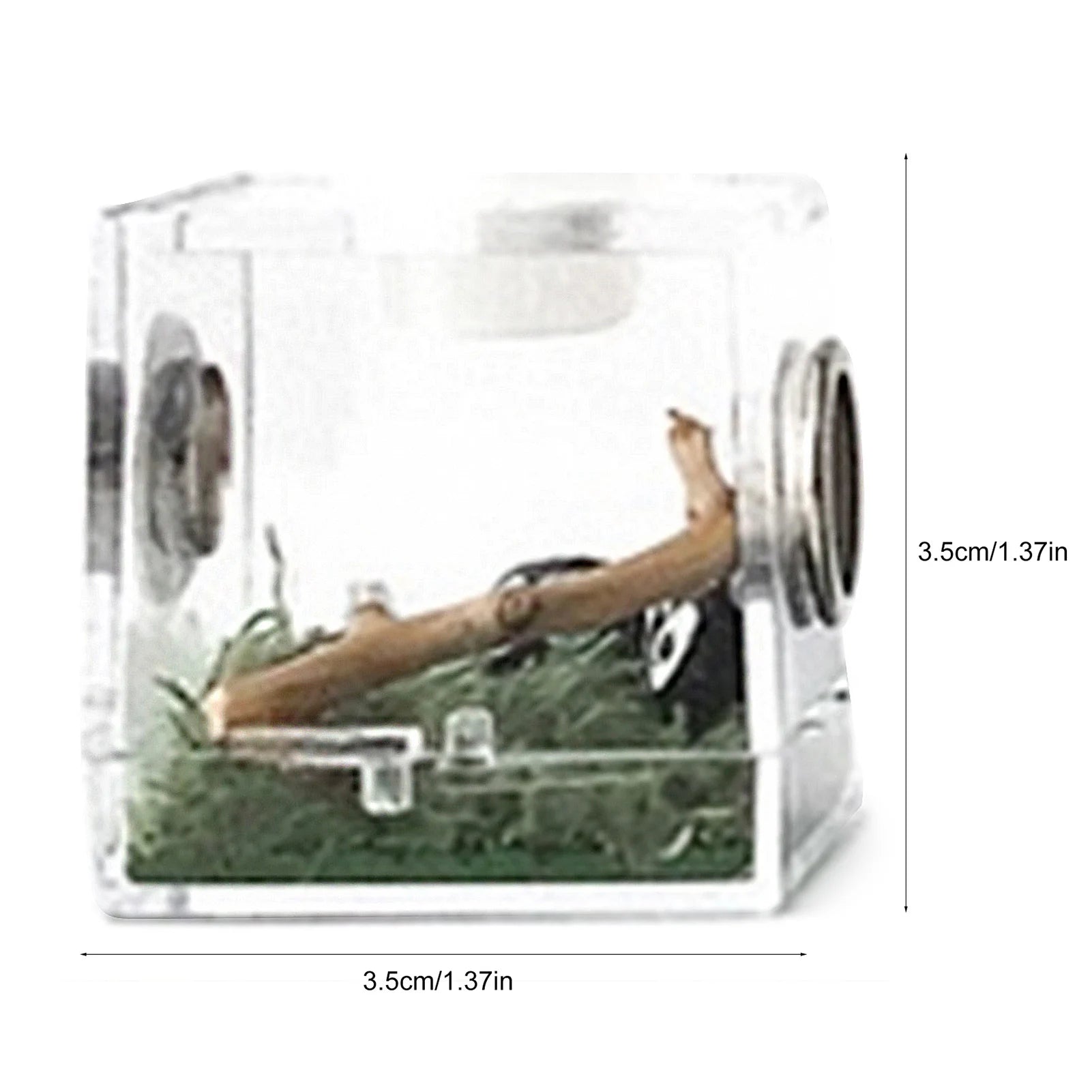 Reptile Breeding Box – Acrylic Terrarium Cage for Insects - Premium breeding box from Lizard Vigilante - Just $11.99! Shop now at Lizard Vigilante