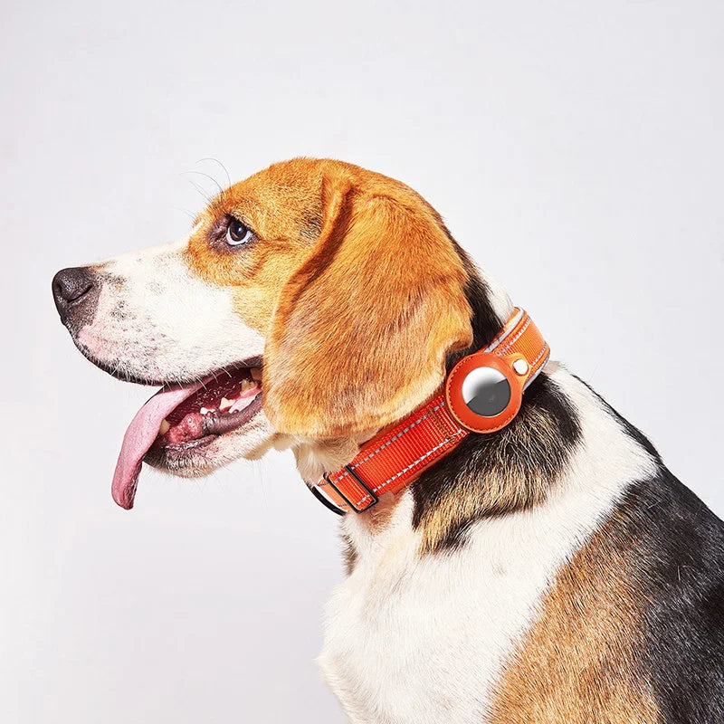 Easy To Use Anti-Lost Dog Collar with Airtag Holder | Reflective, Waterproof, & Adjustable - Perfect for Large Dogs - Premium dog collar from Lizard Vigilante - Just $24.88! Shop now at Lizard Vigilante