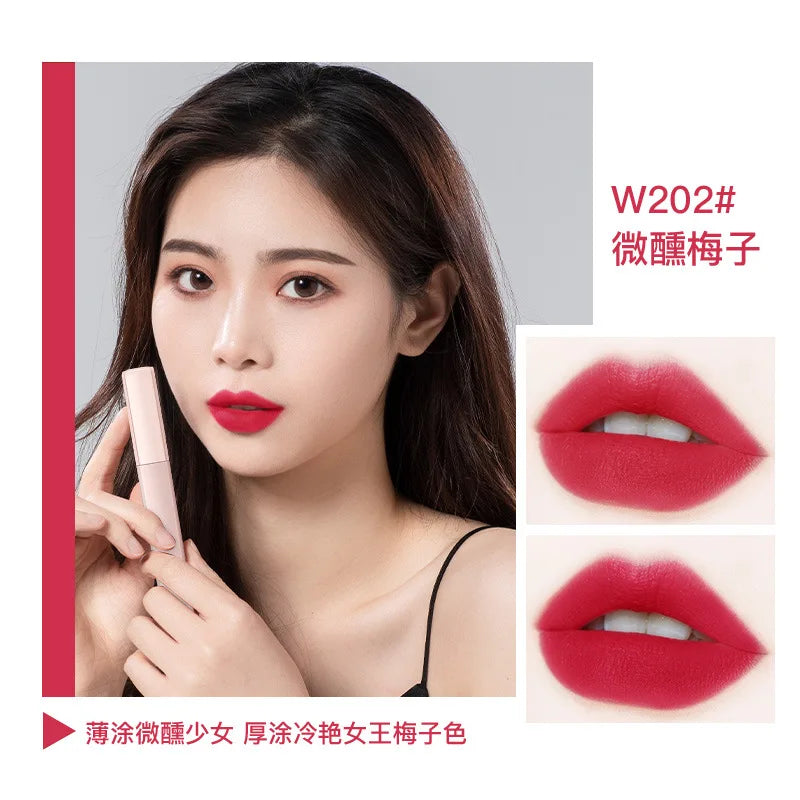 Orange Lipstick Waterproof Long Lasting Matte Lipsticks Resistant Lip Stick Velvet Lip Tint Women Cosmetic Sexy Lip Glaze Makeup