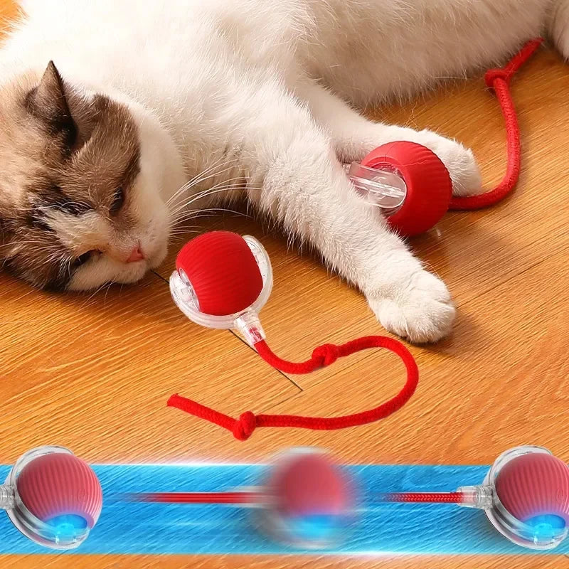 Interactive Cat Toy Rolling Ball - USB Rechargeable Smart Automatic Teaser for Cats and Kittens - Premium cat toy from Lizard Vigilante - Just $19.99! Shop now at Lizard Vigilante