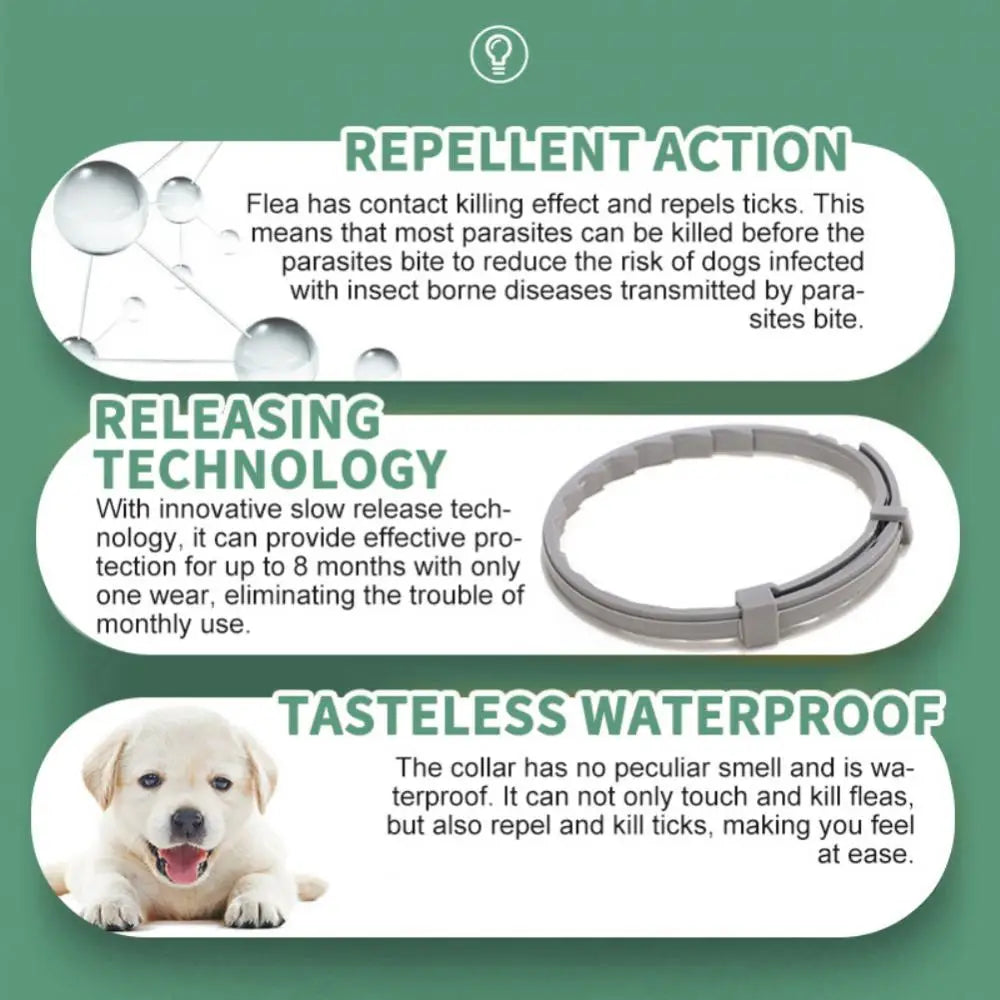 Dog Anti Flea And Ticks Cats 2/1PCS Collar Pet 8 Month Protection Retractable Pet Collars Suitable For Puppy Cat Dog Accessories - Premium flea collar from Lizard Vigilante - Just $12.99! Shop now at Lizard Vigilante