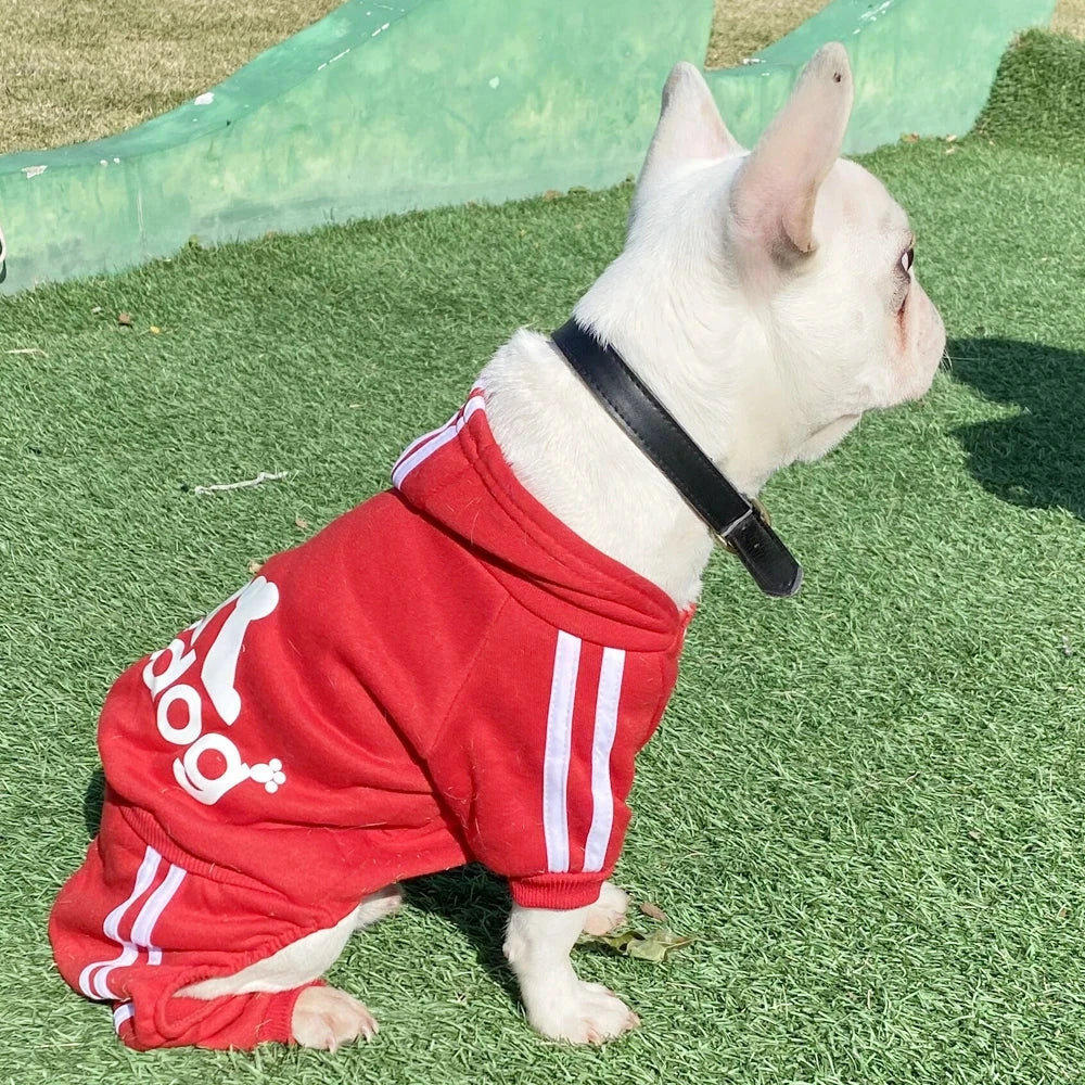 Tracksuit for Dogs Spring Autumn Dog Clothes Sport Sweatshirt Jumpsuit for Small Dogs French Bulldog Yorkie Chihuahua Hoodies - Lizard Vigilante