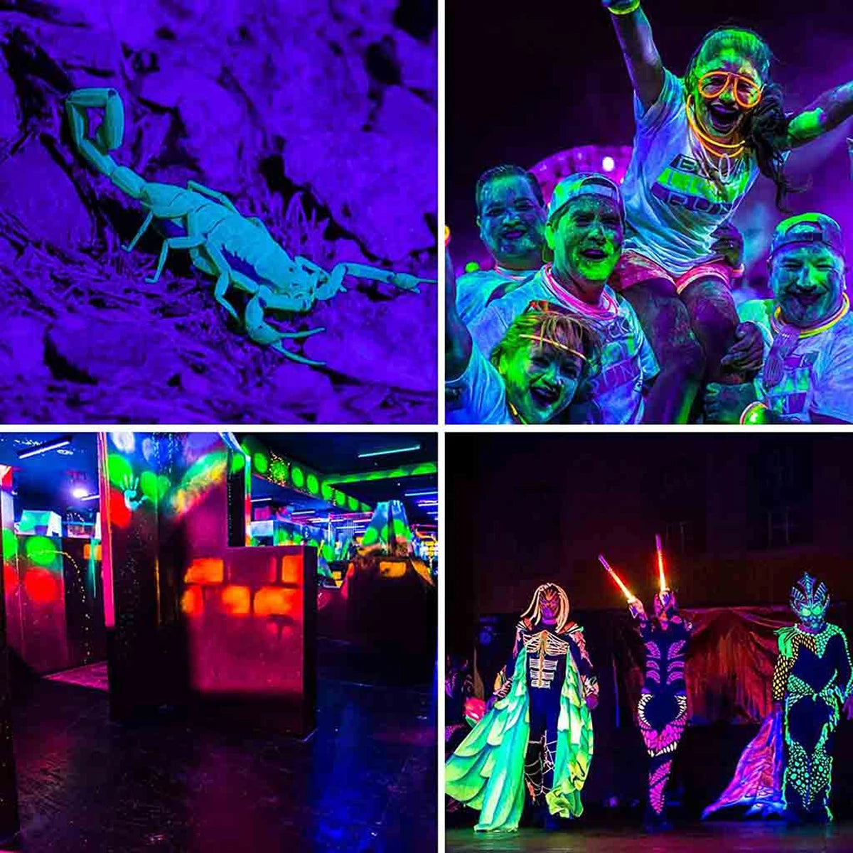 ALIEN 50W 100W LED UV Black Lights Stage Blacklight Ultraviolet Flood Effect Light for Halloween Xmas Dance DJ Disco Party Bar - Premium  from Lizard Vigilante - Just $17.99! Shop now at Lizard Vigilante