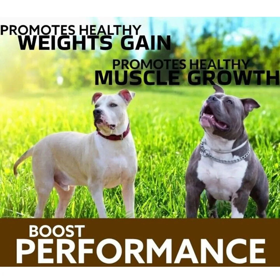 AMINOPLEX 30 Chew Muscle Builder & Vitamin Supplement for Dogs – Stress Relief, Immune Support, Muscle Mass & Energy Booster - Premium dog supplies from Lizard Vigilante - Just $88.88! Shop now at Lizard Vigilante