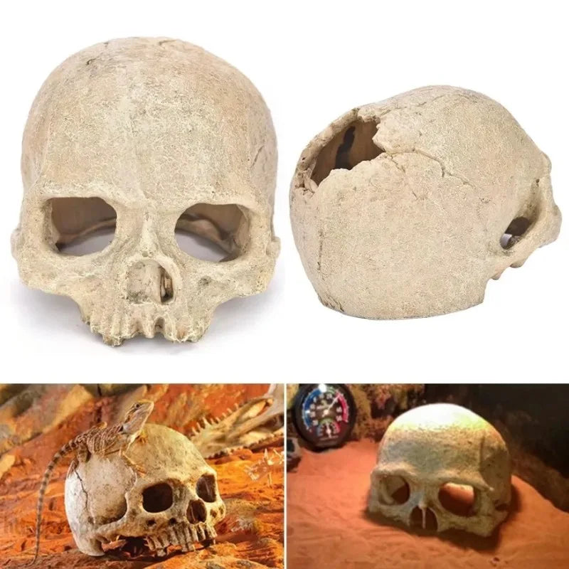 Fish Tank Aquarium Skull Decoration Breeding House Simulation Resin Cranium Statue Spider Scorpion Lizard Shelter Home Ornament - Premium skulll decor from Lizard Vigilante - Just $21.99! Shop now at Lizard Vigilante