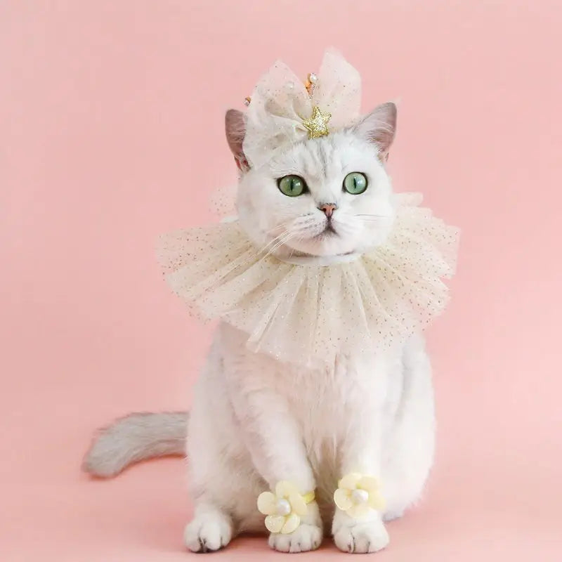 Pet Dog Birthday Party Dog Hat Candy Color Dot Lace Cat Bib Suit Cute Small Medium Dogs Costume Cap Pet Products Accessories