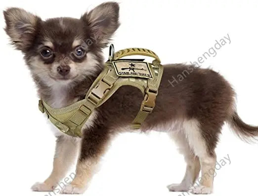 Chihuahua Tactical Dog Vest – XS Adjustable Military MOLLE Training Harness with Rubber Handle for Small Dogs - Premium dog vest from Lizard Vigilante - Just $29.99! Shop now at Lizard Vigilante