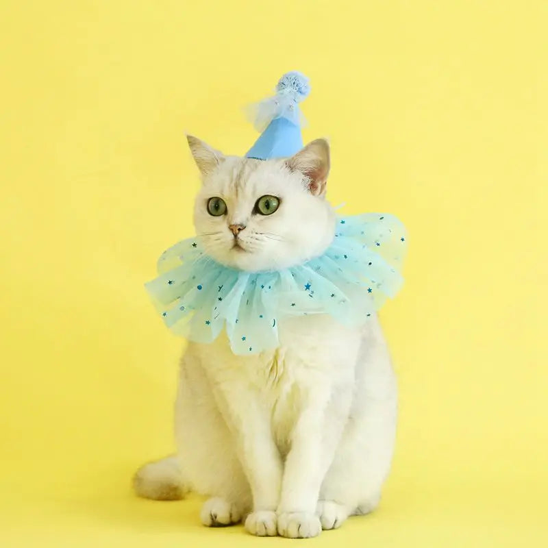 Pet Dog Birthday Party Dog Hat Candy Color Dot Lace Cat Bib Suit Cute Small Medium Dogs Costume Cap Pet Products Accessories