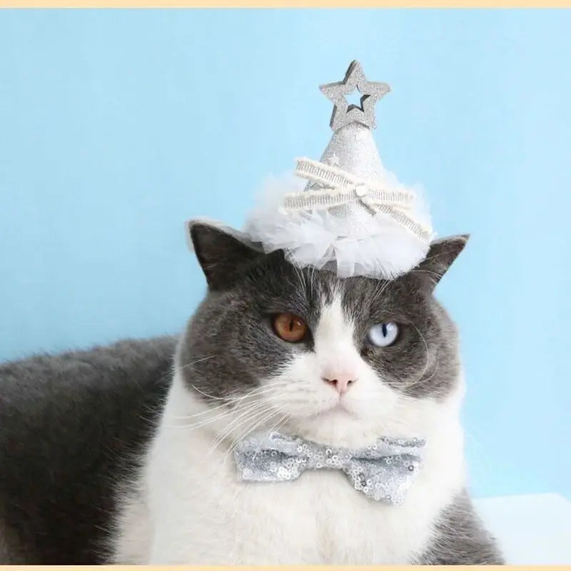 Pet Dog Birthday Party Dog Hat Candy Color Dot Lace Cat Bib Suit Cute Small Medium Dogs Costume Cap Pet Products Accessories