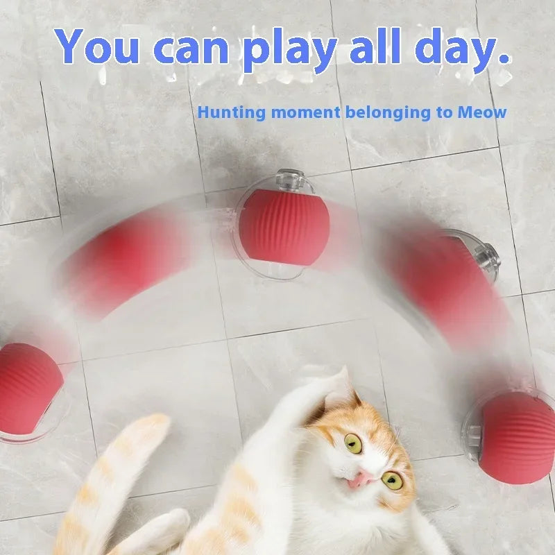 Interactive Cat Toy Rolling Ball - USB Rechargeable Smart Automatic Teaser for Cats and Kittens - Premium cat toy from Lizard Vigilante - Just $19.99! Shop now at Lizard Vigilante