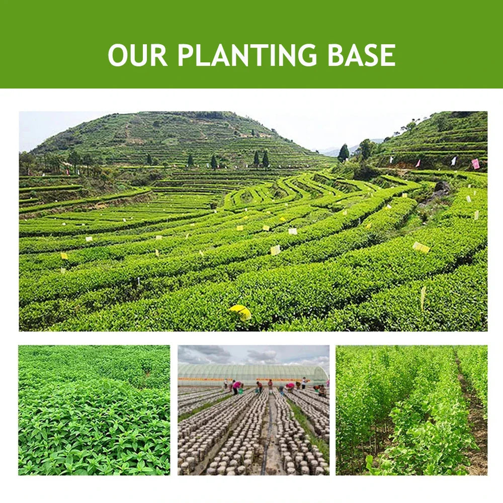 Polyquaternium-10 Powder cosmetic raw materials