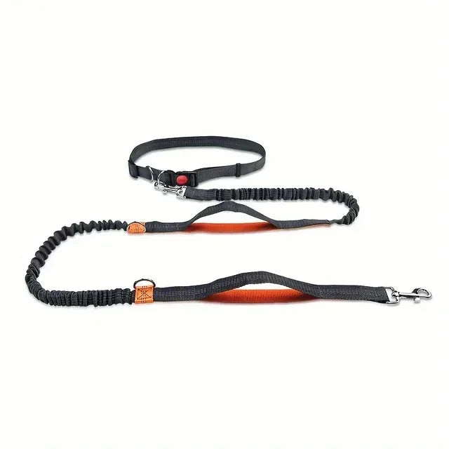 Reflective High-Visibility Hands-Free Elastic Running Belt Dog Leash | Durable Jogging and Hiking Pet Lead with Metal D-Ring Harness - Premium dog leash from Lizard Vigilante - Just $23.88! Shop now at Lizard Vigilante