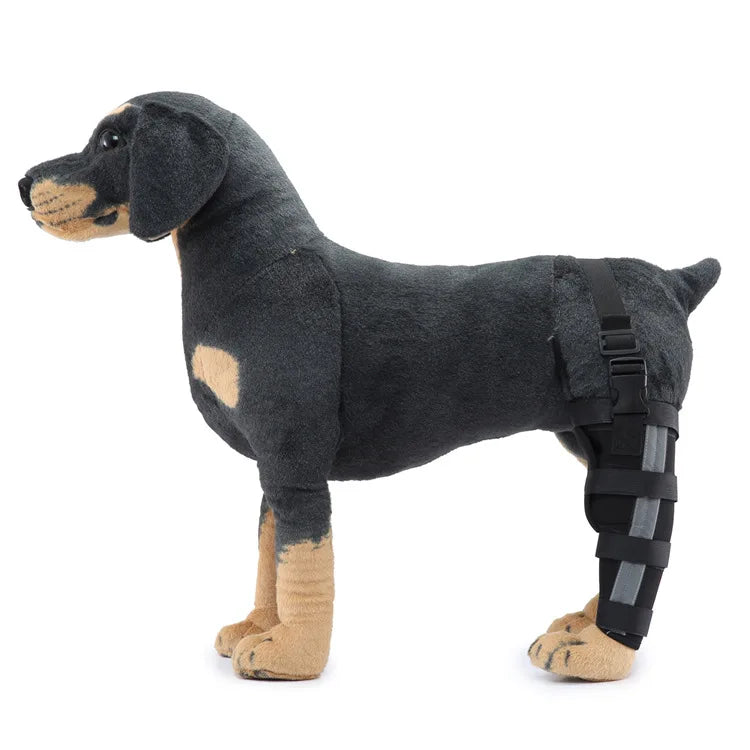 Pet Knee Pads – Breathable Support Brace for Dog Hock Joint Recovery - Premium Pet Knee Pads from Lizard Vigilante - Just $8.99! Shop now at Lizard Vigilante