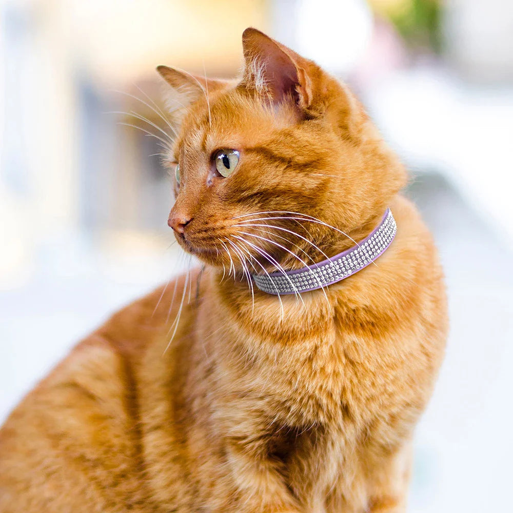 Soft Suede Leather Cat Collar Bling Rhinestone Cats Collars with Bell Safety Breakaway Pet Puppy Necklace Adjustable XS S Pink