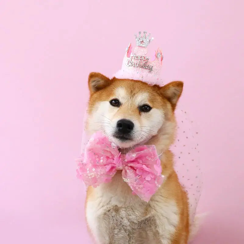 Pet Dog Birthday Party Dog Hat Candy Color Dot Lace Cat Bib Suit Cute Small Medium Dogs Costume Cap Pet Products Accessories