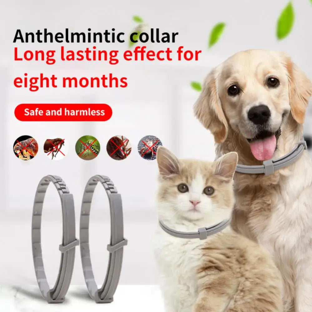 Dog Anti Flea And Ticks Cats 2/1PCS Collar Pet 8 Month Protection Retractable Pet Collars Suitable For Puppy Cat Dog Accessories - Premium flea collar from Lizard Vigilante - Just $12.99! Shop now at Lizard Vigilante