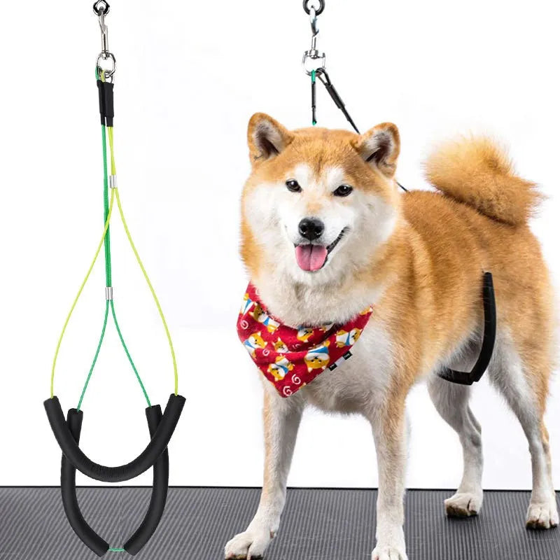 Adjustable Pet Dog Cat Grooming Loop Table Pet Grooming Leash Table Loop D-rings Bathing Strap Traction Belt Dog Collar Harness - Premium pet supplies from Lizard Vigilante - Just $18.88! Shop now at Lizard Vigilante