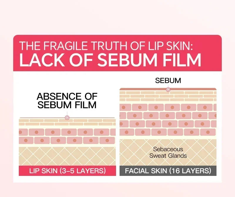 Instant Lip Plumping Gloss Reduce Fine Lines Plumper Serum Exfoliating Lasting Moisturizing Liquid Nourish Sexy Beauty Cosmetics