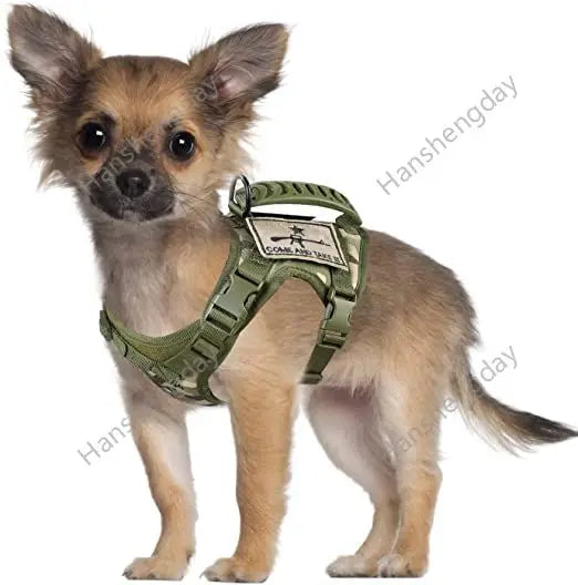 Chihuahua Tactical Dog Vest – XS Adjustable Military MOLLE Training Harness with Rubber Handle for Small Dogs - Premium dog vest from Lizard Vigilante - Just $29.99! Shop now at Lizard Vigilante