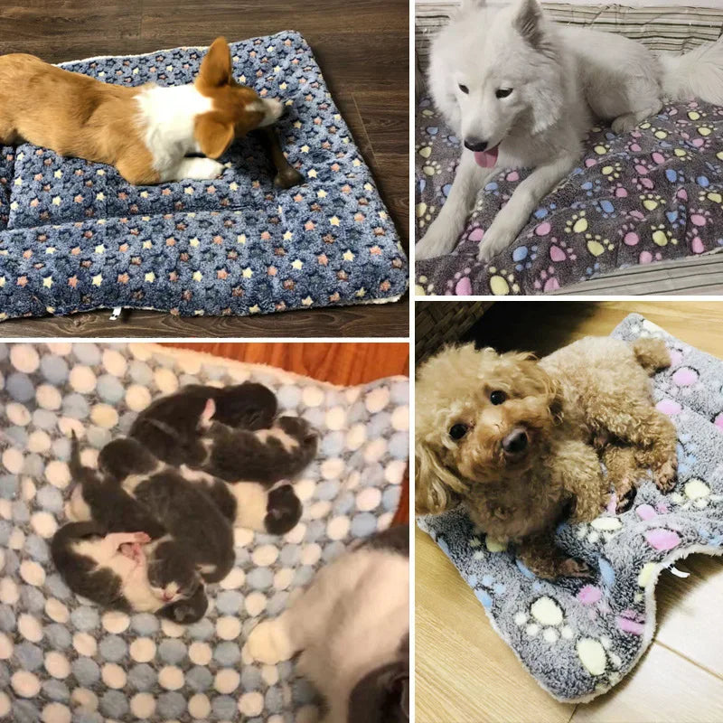 Cozy Pet Sleeping Mat – Soft Flannel Dog and Cat Bed Blanket - Premium pet mat from Lizard Vigilante - Just $19.88! Shop now at Lizard Vigilante