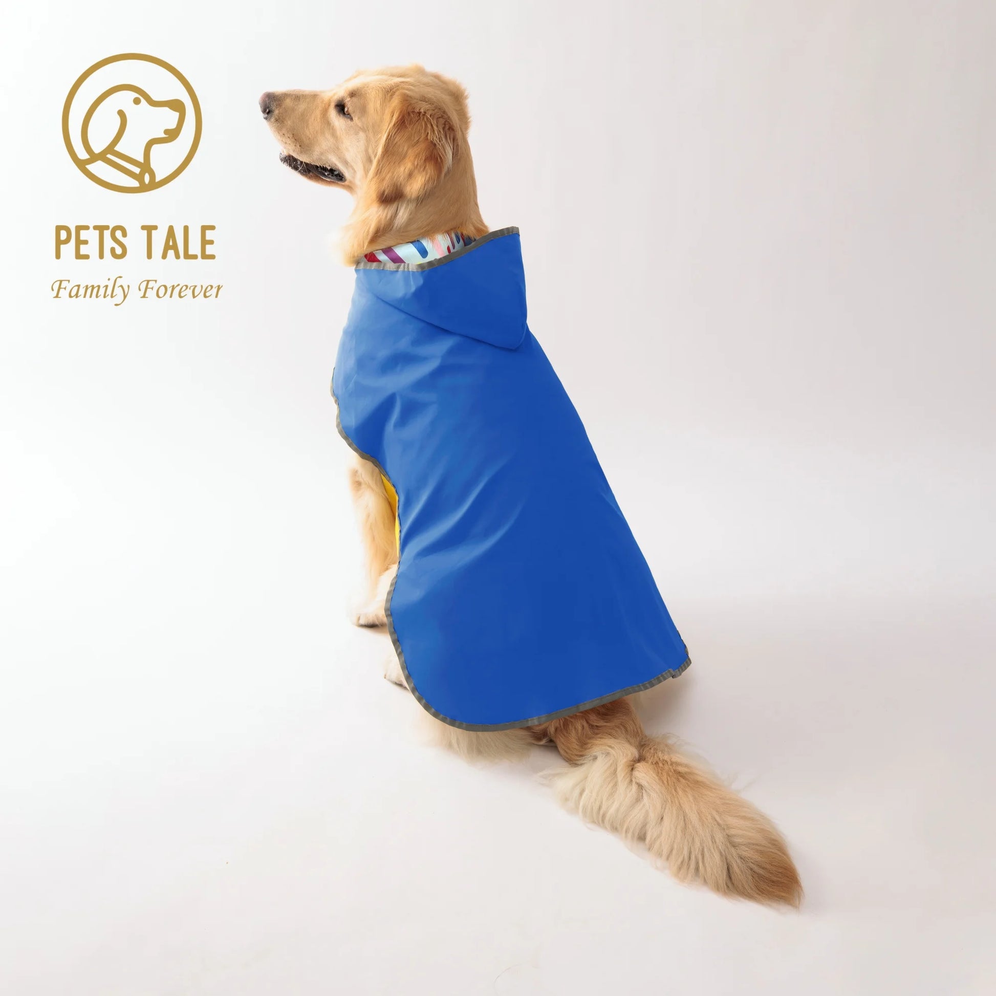 Double-Layer Yellow Raincoat With Two-Way Wear - Keep Your Pup Dry & Stylish! - Premium dog clothes from Lizard Vigilante - Just $19.99! Shop now at Lizard Vigilante