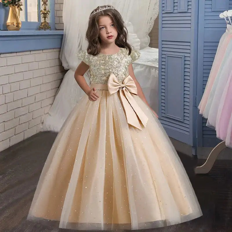New Christmas Party Princess long dress children's dress children's gauze lace birthday party dinner ball big butterfly dress