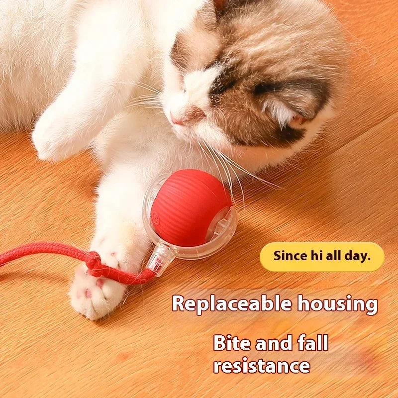 Interactive Cat Toy Rolling Ball - USB Rechargeable Smart Automatic Teaser for Cats and Kittens - Premium cat toy from Lizard Vigilante - Just $19.99! Shop now at Lizard Vigilante