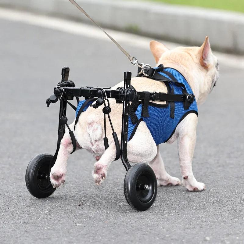 Wheelchair for Disabled Dog Cart Hind Legs Bracket Cat Dog Injured And Weak Rehabilitation Aid Car Adjustable Pet Walk Booster - Premium dog wheelchair from Lizard Vigilante - Just $62.99! Shop now at Lizard Vigilante