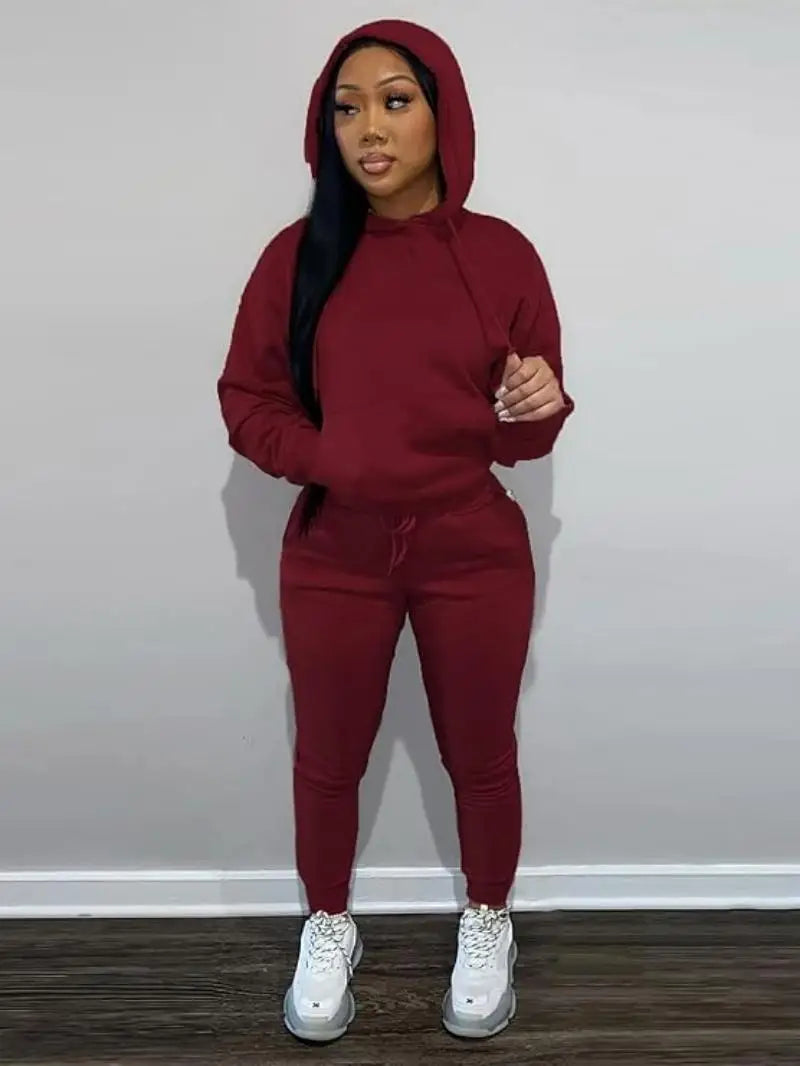 Women's Two-Piece Sweatsuit Set – Long Sleeve Hoodie Top and Jogger Pants Casual Tracksuit for Autumn & Winter - Premium sweatsuit from Lizard Vigilante - Just $58.88! Shop now at Lizard Vigilante