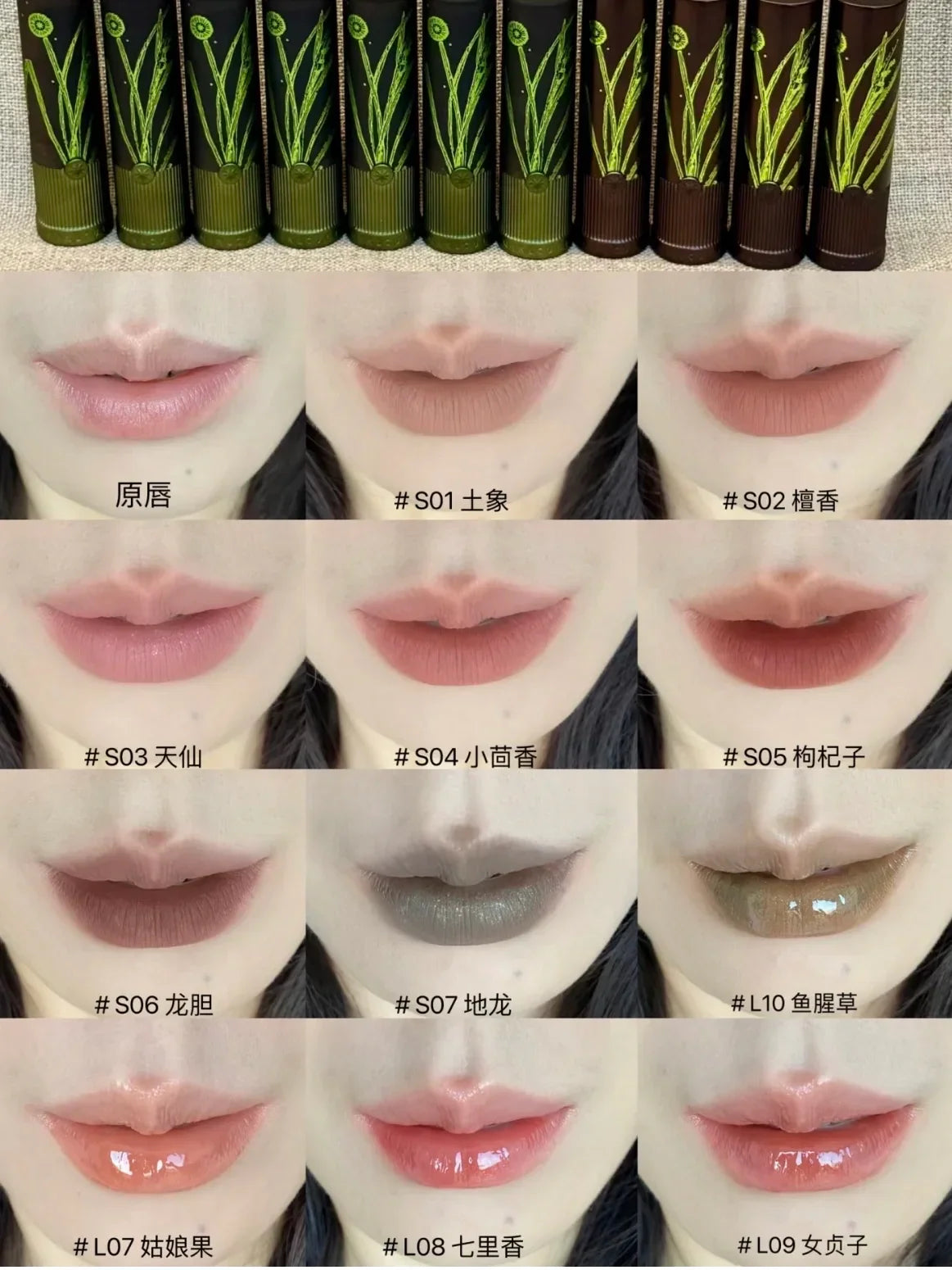 Girlcult Herbal Compendium Lipstick Matte Velvet Lip Clay Green Shimmer Lipgloss Moisturizing Longlasting Nostickup