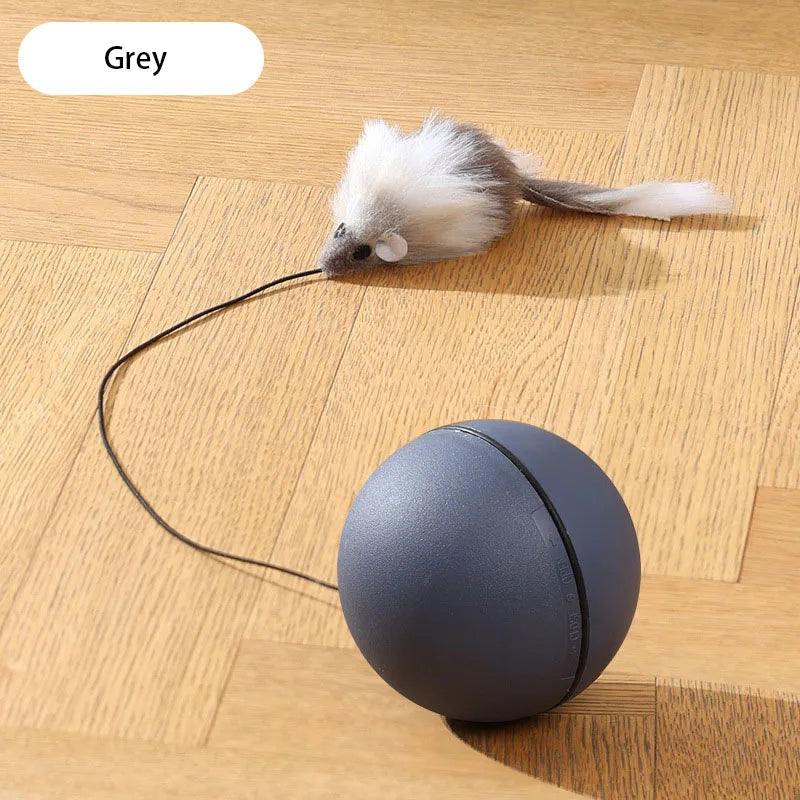 Kimpets Electric Mouse Teaser Ball – Fun Automatic Rolling Toy for Cats & Dogs - Premium cat toy from Lizard Vigilante - Just $19.88! Shop now at Lizard Vigilante