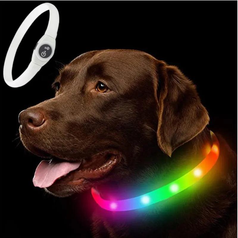 LED Luminous Waterproof Dog Collar For Large Medium Small Dogs Collar Usb Night Light Safety Pet Glowing Accessories - Lizard Vigilante