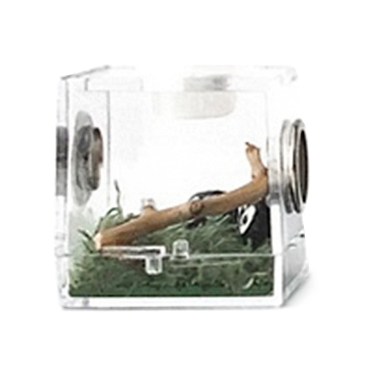 Reptile Breeding Box – Acrylic Terrarium Cage for Insects - Premium breeding box from Lizard Vigilante - Just $11.99! Shop now at Lizard Vigilante