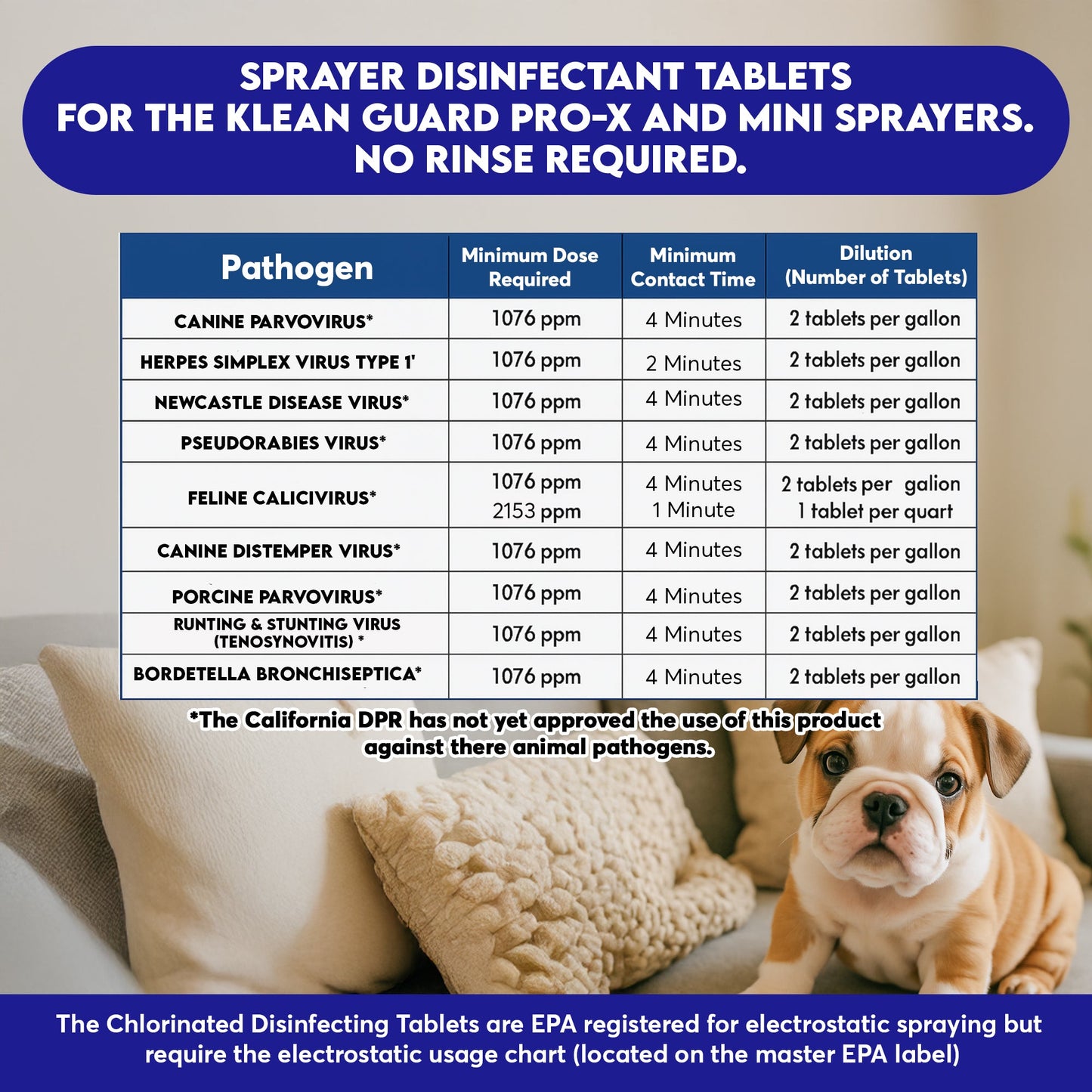 Pro-X Sprayer Combo Kit (Sprayer & 120 CT Sprayer Tablets included& Expandable Hose)