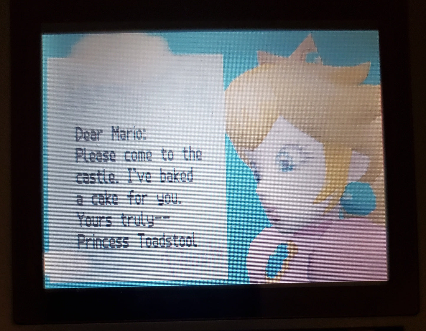 Super Mario 64 DS Nintendo DS Video Game