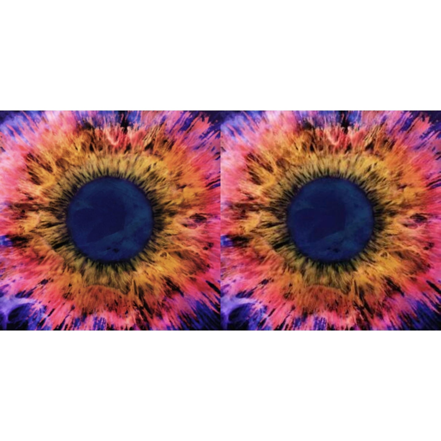 Horizons / East & Horizons/East (Neon Yellow & Violet LP Vinyl)