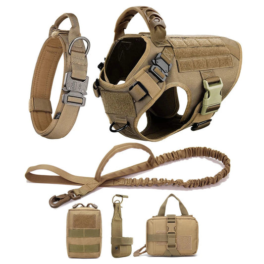 Tactical dog harness, leash, and accessories on a white background