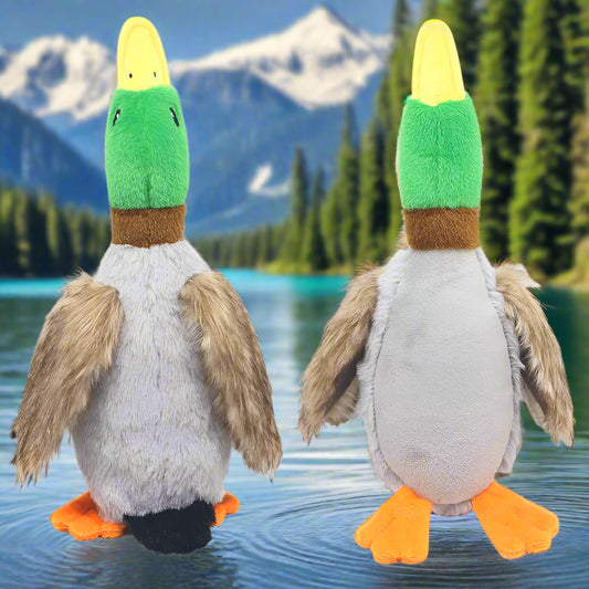 Two plush duck toys with green heads, gray bodies, and orange feet on a white background.