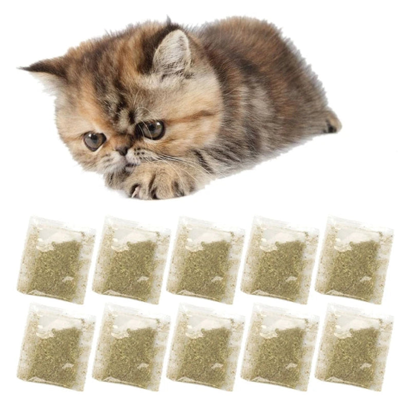 Unlock Playful Purrs: 10 Pack of Catnip Powder for Training & Entertainment - Premium catnip from Lizard Vigilante - Just $1.99! Shop now at Lizard Vigilante