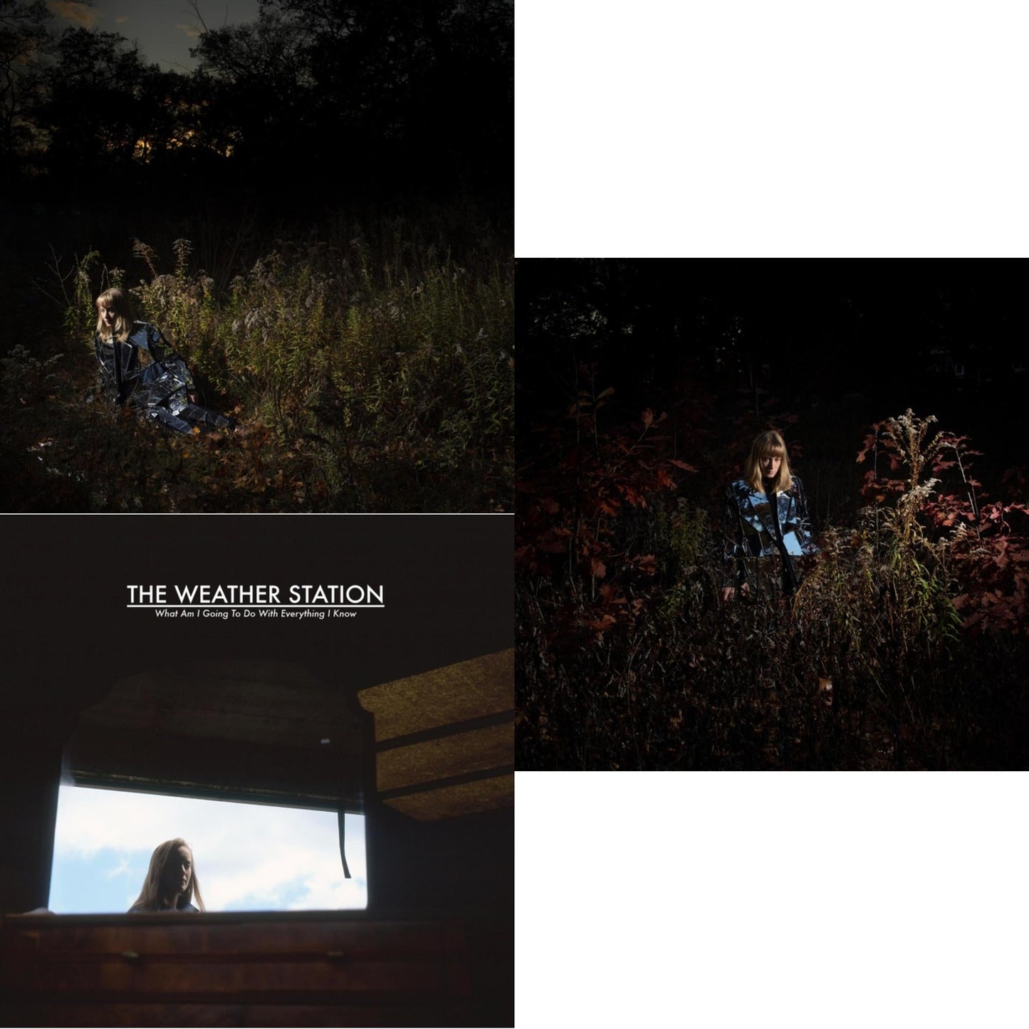 Ignorance (Silver LP Vinyl) (I) & What Am I Going To Do With Everything I Know & Ignorance (Deluxe/Metallic Silver Vinyl/2LP)