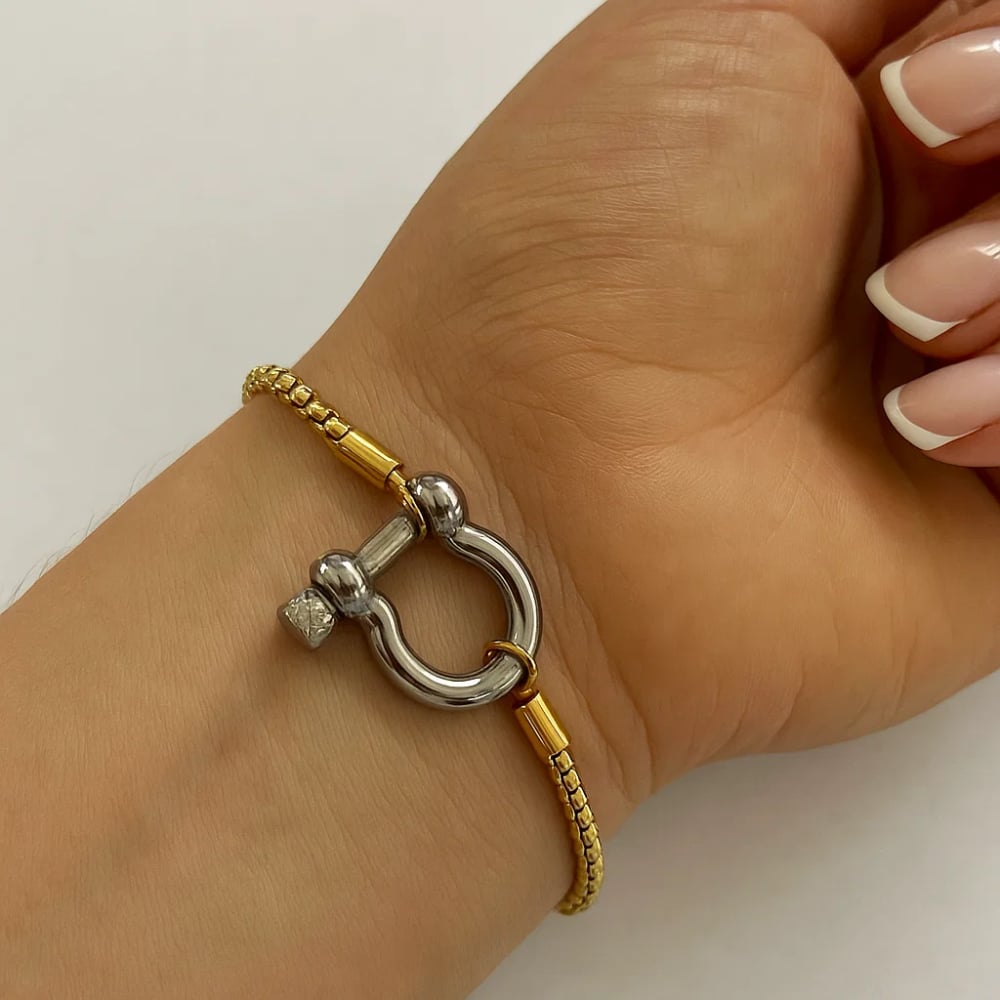 The Lucky Lock Horseshoe Carabiner Clasp Bracelet