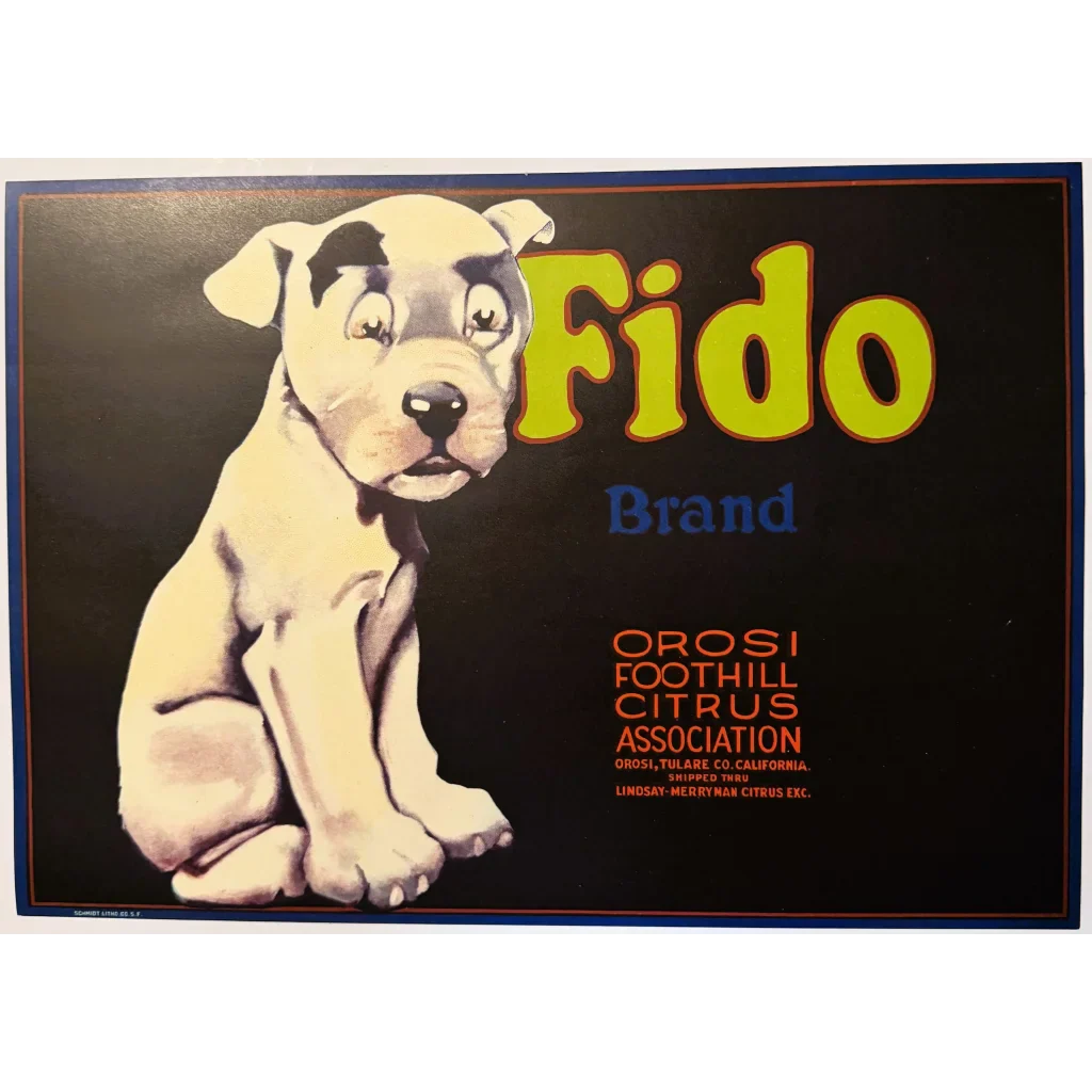 Adorable Pup Steals Hearts on Vintage 1930s Fido Crate Label