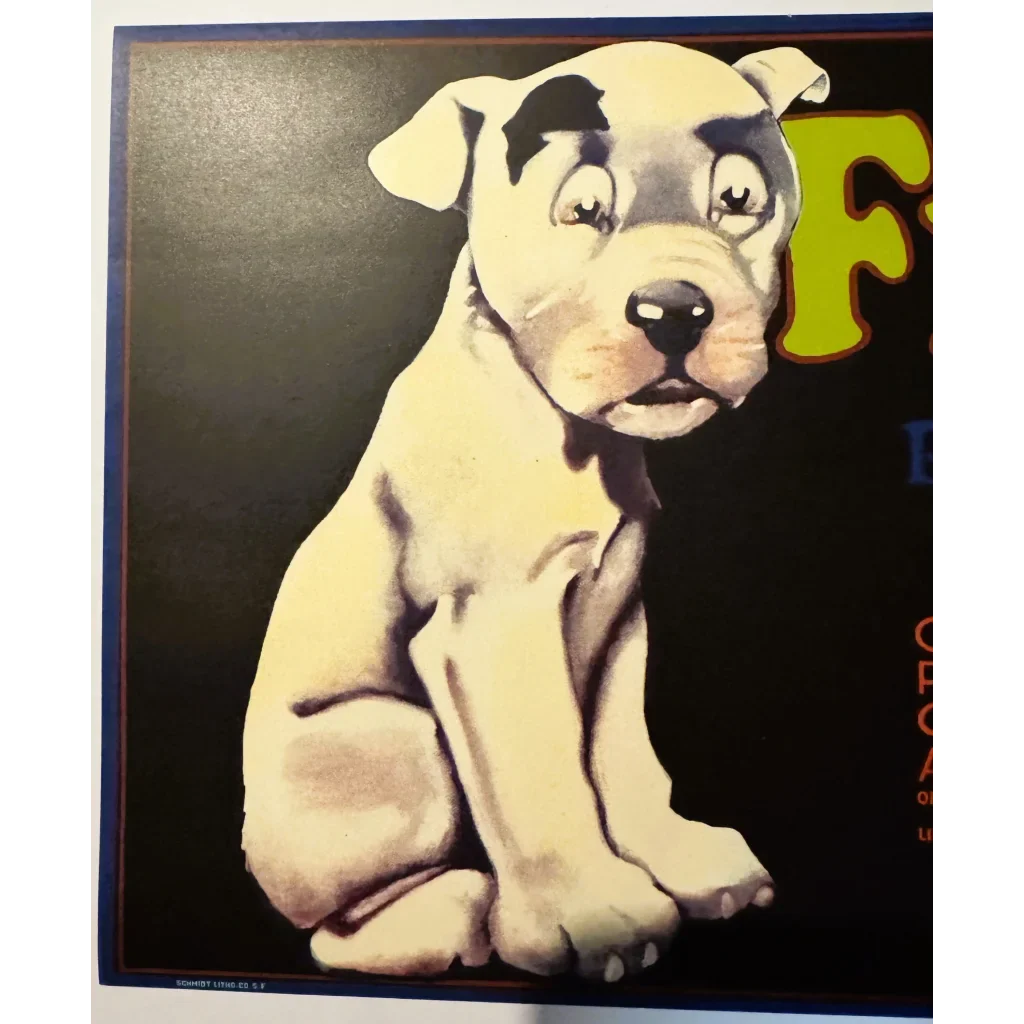 Adorable Pup Steals Hearts on Vintage 1930s Fido Crate Label